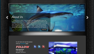 kingaquarium.com